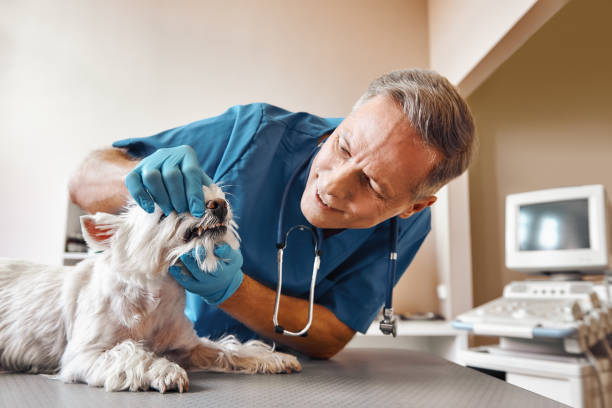 Best Emergency Wisdom Tooth Extraction in Iyanbito, NM